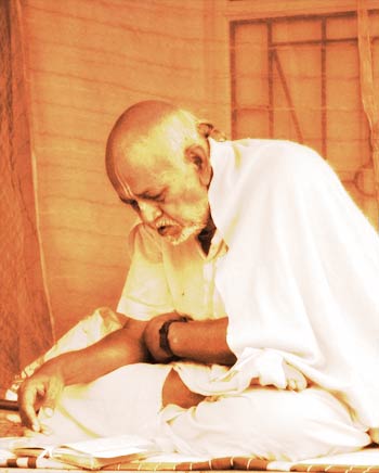 Bhaktivedanta Trivikrama Maharaja – Biography