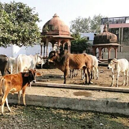 The first step to become a real man of divine heart