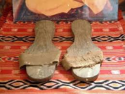 Observance of Cātur-māsya