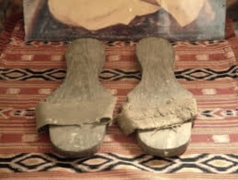 Observance of Cātur-māsya