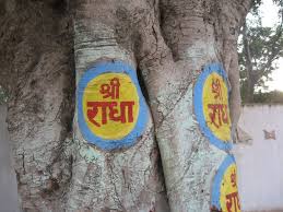 Divine Appearance Day of Śrīmatī Rādhārāṇī (31.8)